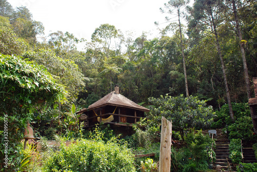 a lovely cottage Into the jungle © Patricia