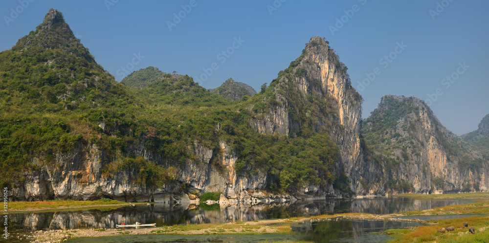 Man on raft with water buffalo on the Li River China with karst peaks