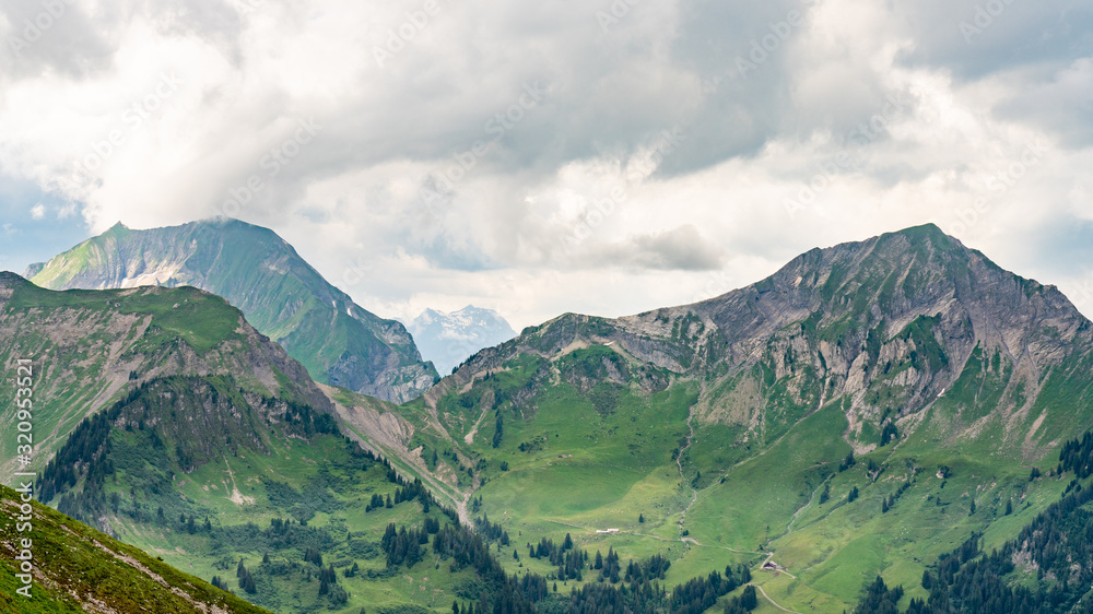 Switzerland, Panoramic view on green Alps near Schynige Platte, Saxeten