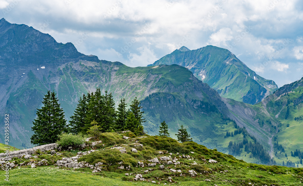 Switzerland, Panoramic view on green Alps near Schynige Platte, Saxeten