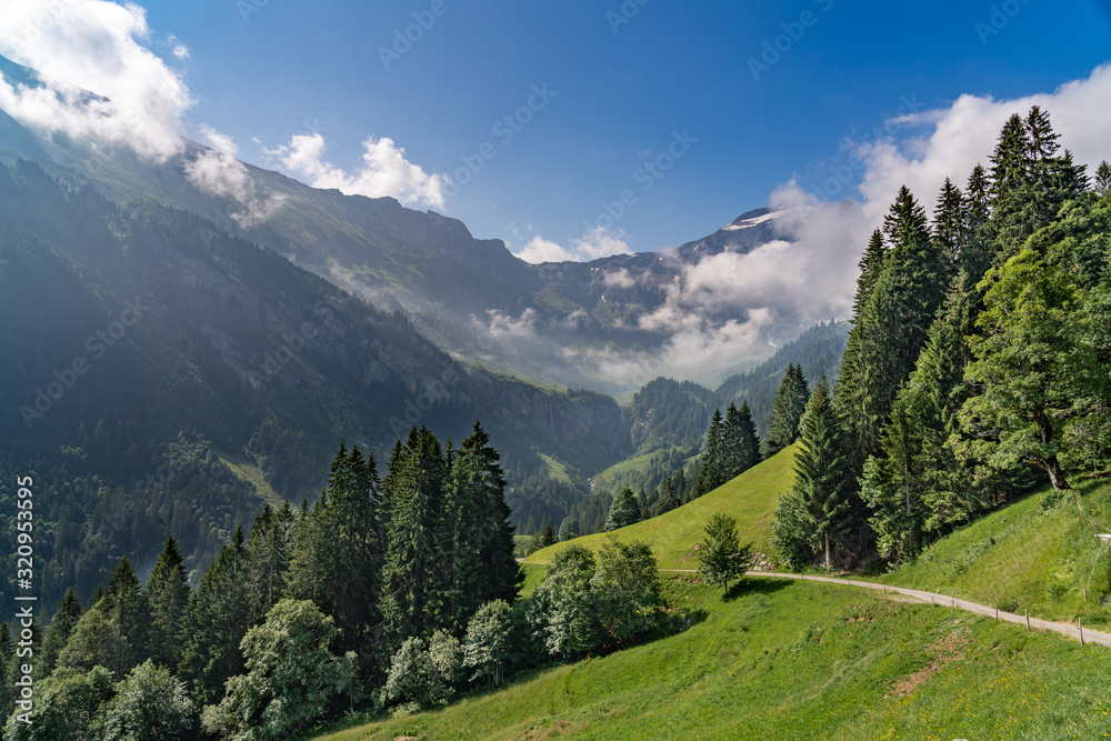 Switzerland, Panoramic view on green Alps near Schynige Platte, Saxeten