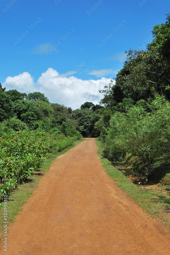 Way near Agumbe. (Karnataka, India)