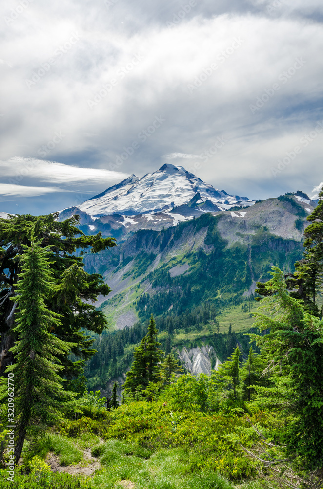 Beautiful Mountain Artist Ridge Trail Park. Mount Baker, Washington, USA.