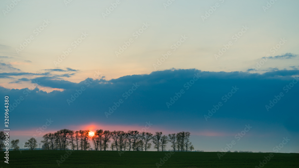 Sun during sunset behind trees Sun during sunset behind trees