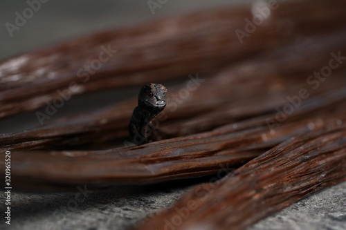 Brown vanilla bean, closeup macro detail, only tip of stick in focus, abstract gourmet background