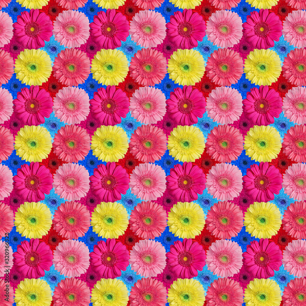Seamless pattern of many colorful gerbera flowers, bright multi-colored