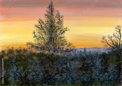 Φωτογραφία L'arbre noir le soir face au coucher de soleil rouge.
