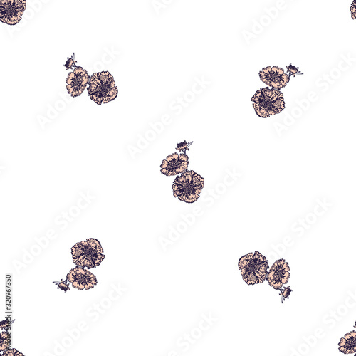 Hand- drawn astra flowers seamless pattern on white background for fabric or surface design. Vector