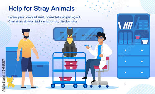 Volunteer Help for Stray Animals, Veterinary Clinic Service Trendy Flat Vector Banner, Poster Template. Male Volunteer Taking Homeless Dogs to Veterinarian Appointment and Vaccination Illustration
