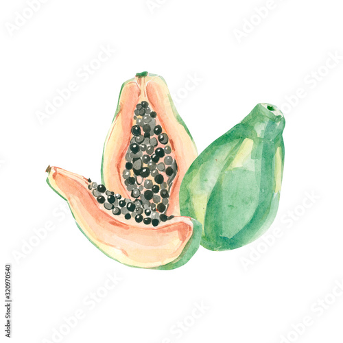 Watercolor summer exotic fruits papaya. Hand painted tropical illustartion for the template, stories hightlights design, greeting card, party card, sale banner.