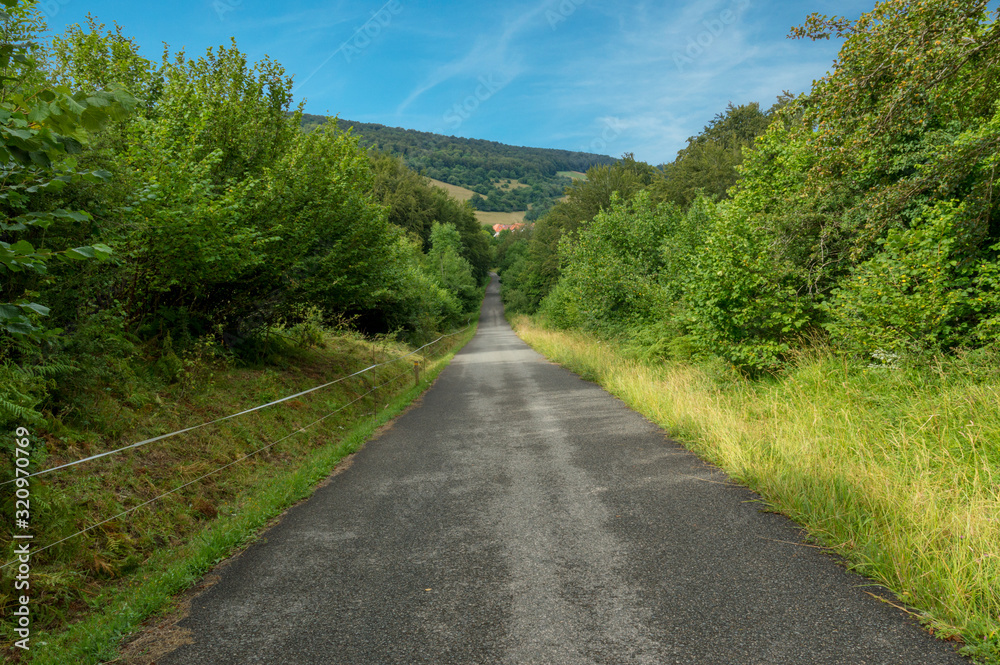 The road to Santiago as it passes through Navarra