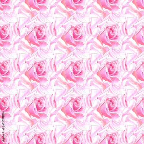 Watercolor seamless pattern. Watercolor image of a pink rose on a white background.