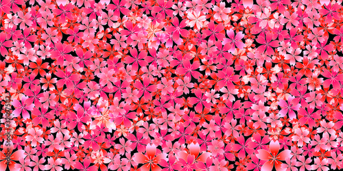 桜　春　花　背景
