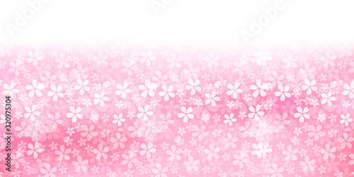 桜　春　花　背景