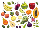 Seth fruits, hand made color gouache illustration. Bananas, peaches, agave, mandarin, pear, apples, apricot, kiwi, plum, grapes, cherries, figs, leaves, lemon, berries. Seth for design, patterns, menu