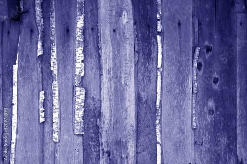 Wall made of uncutted weathered wood boards in blue tone. photo