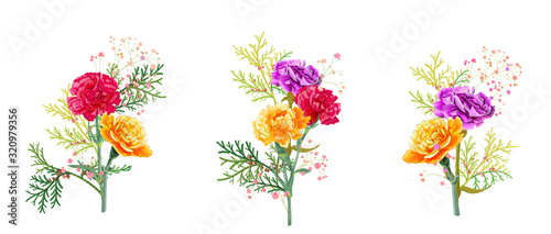 Set bouquets of carnation. Purple, yellow, red, orange flowers, gypsophile, thuja twigs, white background. Illustration for Mother's Day. Bright floral design watercolor style, panoramic view, vector
