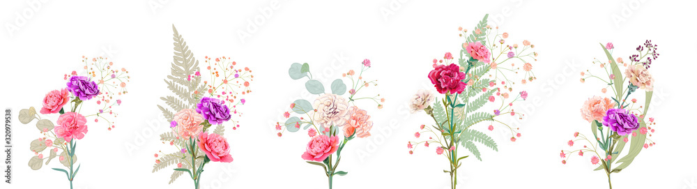Set bouquets of carnation. White, pink, red, purple flowers, gypsophile twigs, fern, eucalyptus leaves, white background. Gentle light floral design, watercolor style, panoramic view, vector