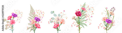 Set bouquets of carnation. White, pink, red, purple flowers, gypsophile twigs, fern, eucalyptus leaves, white background. Gentle light floral design, watercolor style, panoramic view, vector