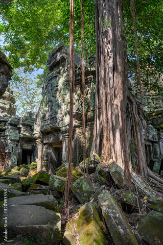 Ta Prohm temple at Angkor Wat complex  Siem Reap  Cambodia