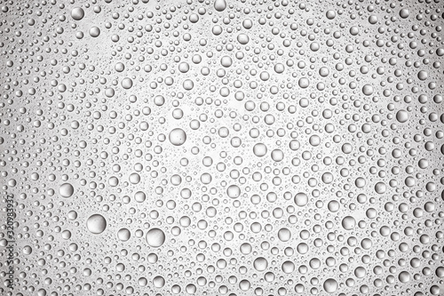 Wallpaper Mural Drops of water on light background Torontodigital.ca