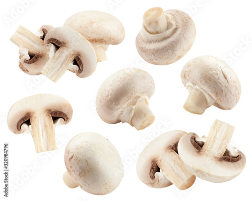 champignon, mushroom, isolated on white background, clipping path, full depth of field
