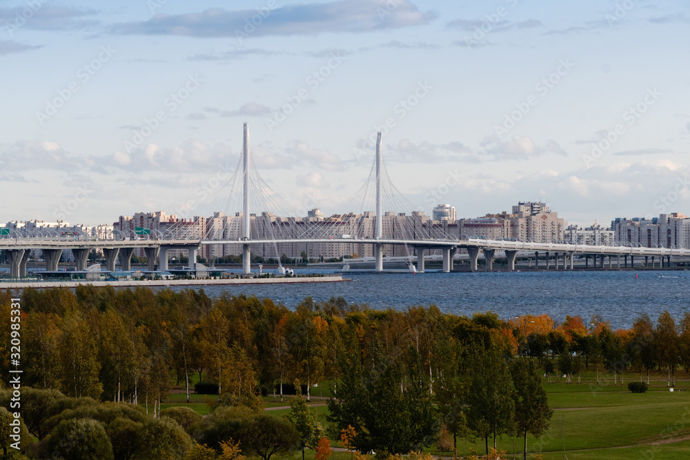 Fototapeta premium Bridge in St. Petersburg
