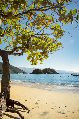 Beautiful tropical sea and ocean beach with chestnut tree and blue sky on sunny day in Abraao in Ilha Grande for vacation travel in Rio de Janeiro, Brazil