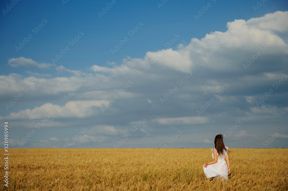 back view of a woman in white dress in wheat field back view of a woman in white dress in wheat field