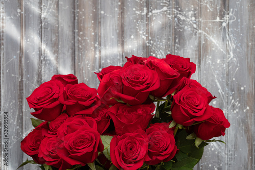 Beautiful red roses. Valentine s day - love.
