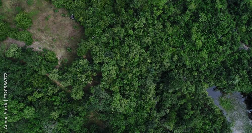 Green trees in natural tropical forest by the river, top view aerial drone shot Green trees in natural tropical forest by the river, top view aerial drone shot