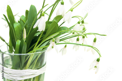 Snowdrop flowers in glass vase isolated on white background  high key
