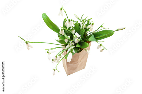 Snowdrop flowers bouquet with leaves in a paper bag isolated on white background, high key