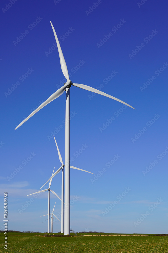 wind turbine farm landscape summer with summer blue sky wind turbine farm landscape summer with summer blue sky