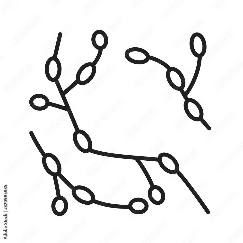 Bacteria rhodomicrobium black line icon. Microscopic germ cause diseases concept. Pictogram for web, mobile app, promo. UI UX design element. Editable stroke.