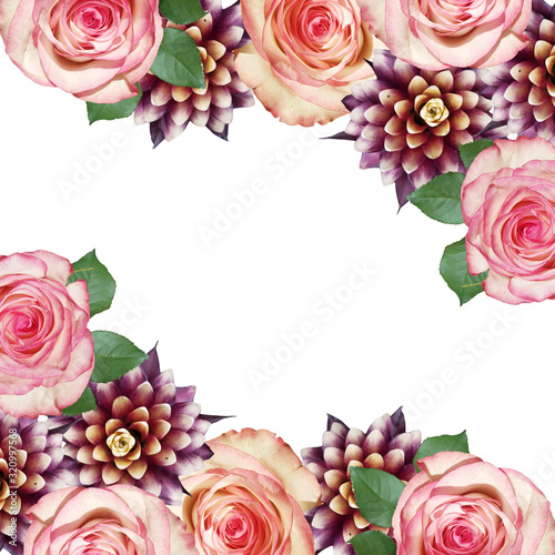 Beautiful floral background of guzmania and roses. Isolated