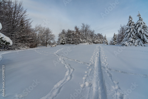 winter scenery with ski track and snowshoes and boots steps, frozen trees and blue sky