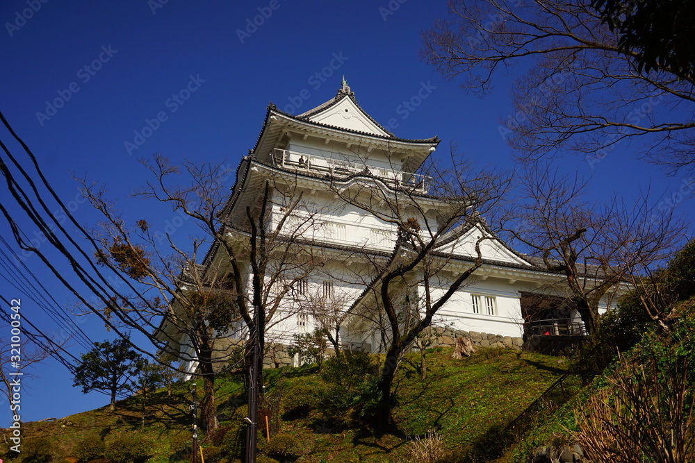 Fototapeta premium 小田原城