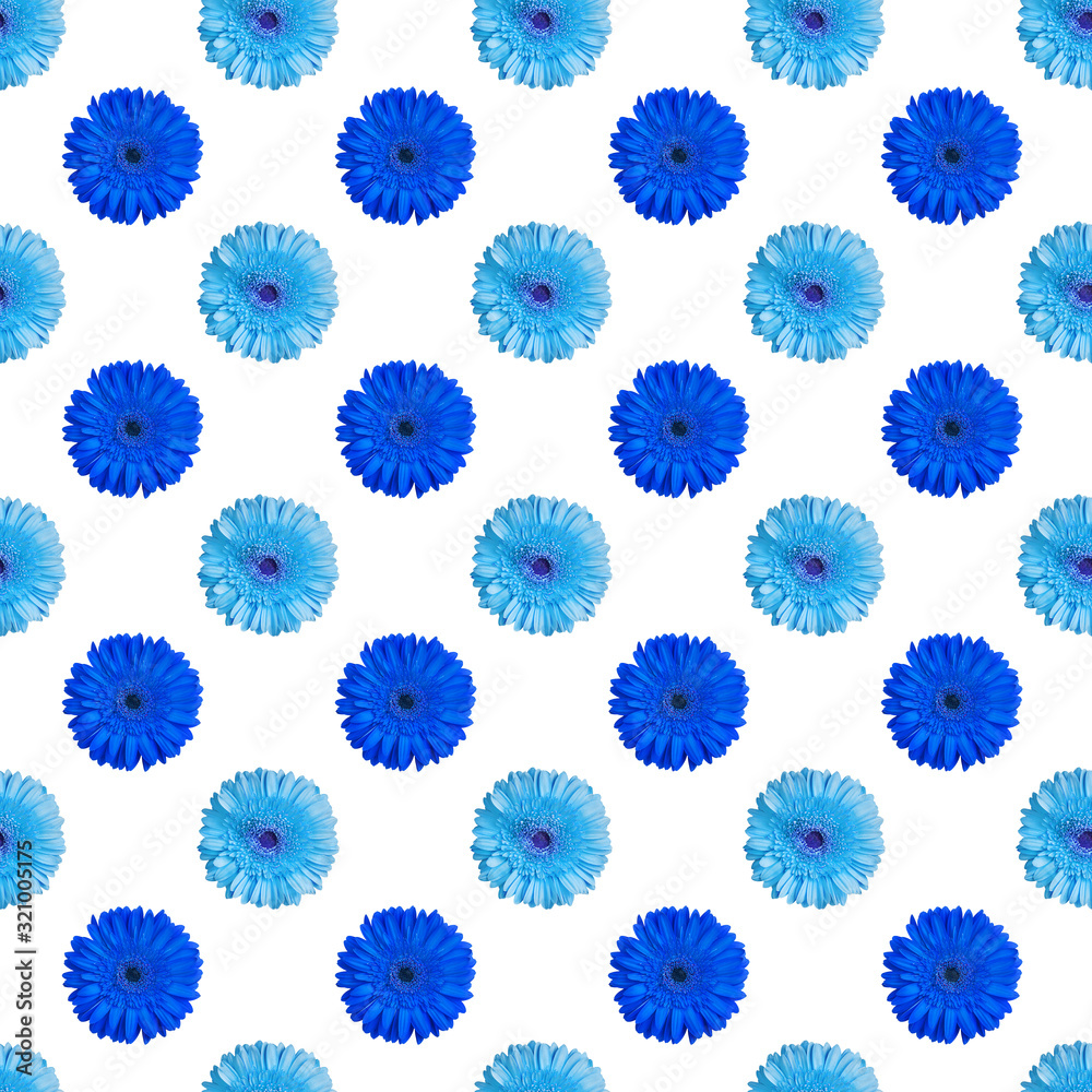 Seamless pattern of dark blue and light blue gerbera flowers on white background isolated, daisy flower repeating ornament, beautiful summer floral wallpaper, decorative geometric tile print backdrop