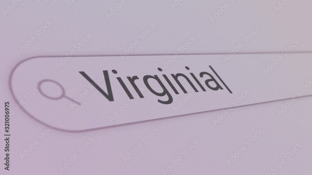 Virginia Search Bar Close Up Single Line Typing Text Box Layout Web Database Browser Engine Concept Virginia Search Bar Close Up Single Line Typing Text Box Layout Web Database Browser Engine Concept