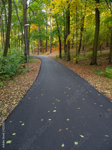 new asphalt path in the forest in autumn