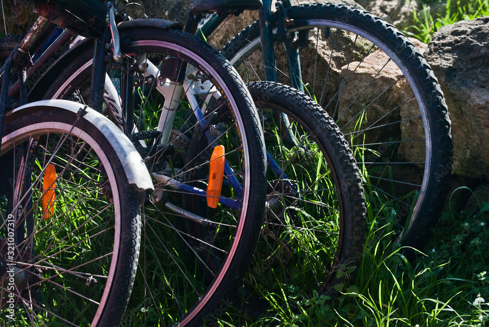 La familia preparada para su paseo en bici La familia preparada para su paseo en bici
