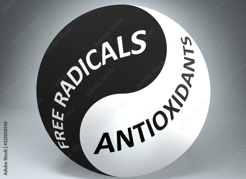 Free radicals and antioxidants in balance - pictured as words Free radicals, antioxidants and yin yang symbol, to show harmony between Free radicals and antioxidants, 3d illustration Free radicals and antioxidants in balance - pictured as words Free radicals, antioxidants and yin yang symbol, to show harmony between Free radicals and antioxidants, 3d illustration