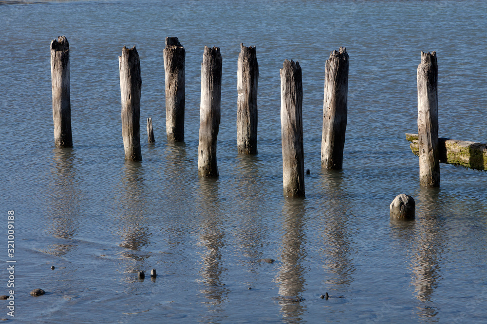 Nugget Point coast. Catlins New Zealand. Old Jetty. Poles in water. Nugget Point coast. Catlins New Zealand. Old Jetty. Poles in water.
