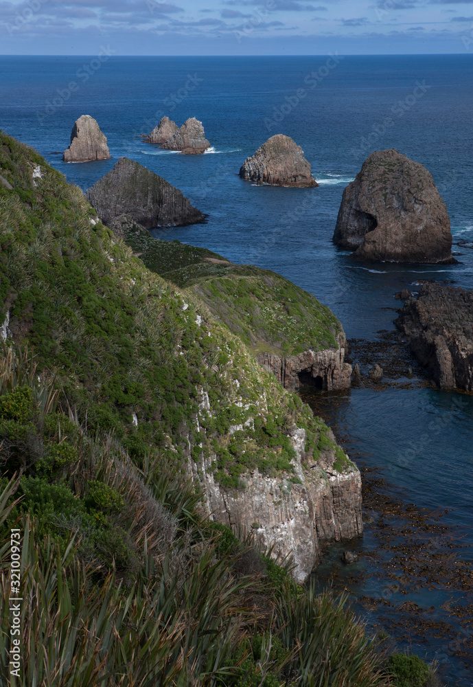 Nugget Point coast. Catlins New Zealand. Rocks ocean