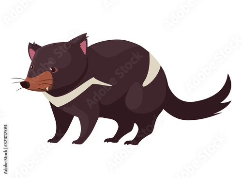 australian tasmanian devil on white background