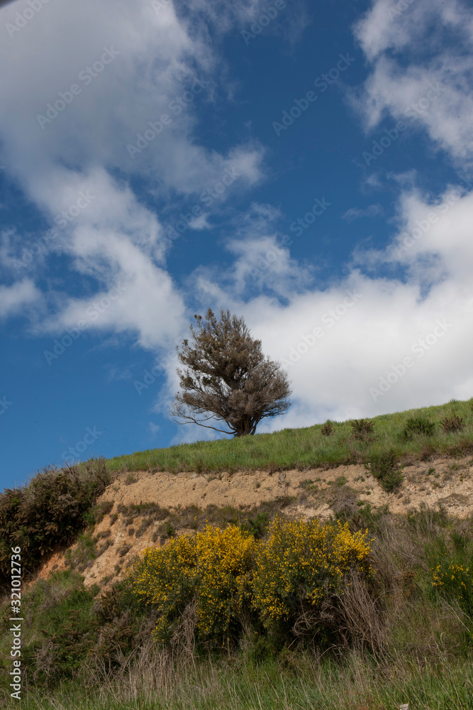 Cliff near Surat bay Coast catlins New Zealand Cliff near Surat bay Coast catlins New Zealand