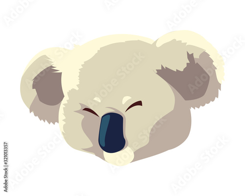 head of cute koala on white background photo