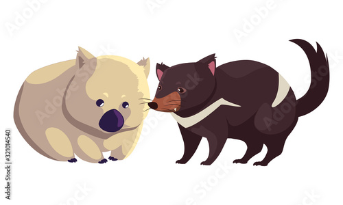 wombat and tasmanian devil on white background