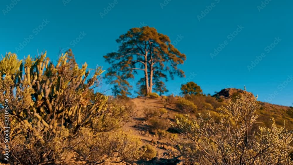 Caminos De Tierra Cumbres De Gran Canaria 4k Caminos De Tierra Cumbres De Gran Canaria 4k